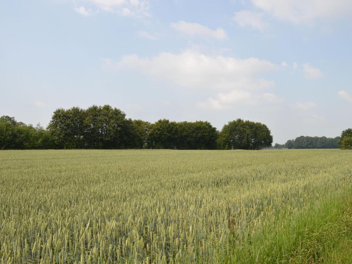Monumental Farm In The Ash Landscape Villa Geesteren  Buitenkant foto