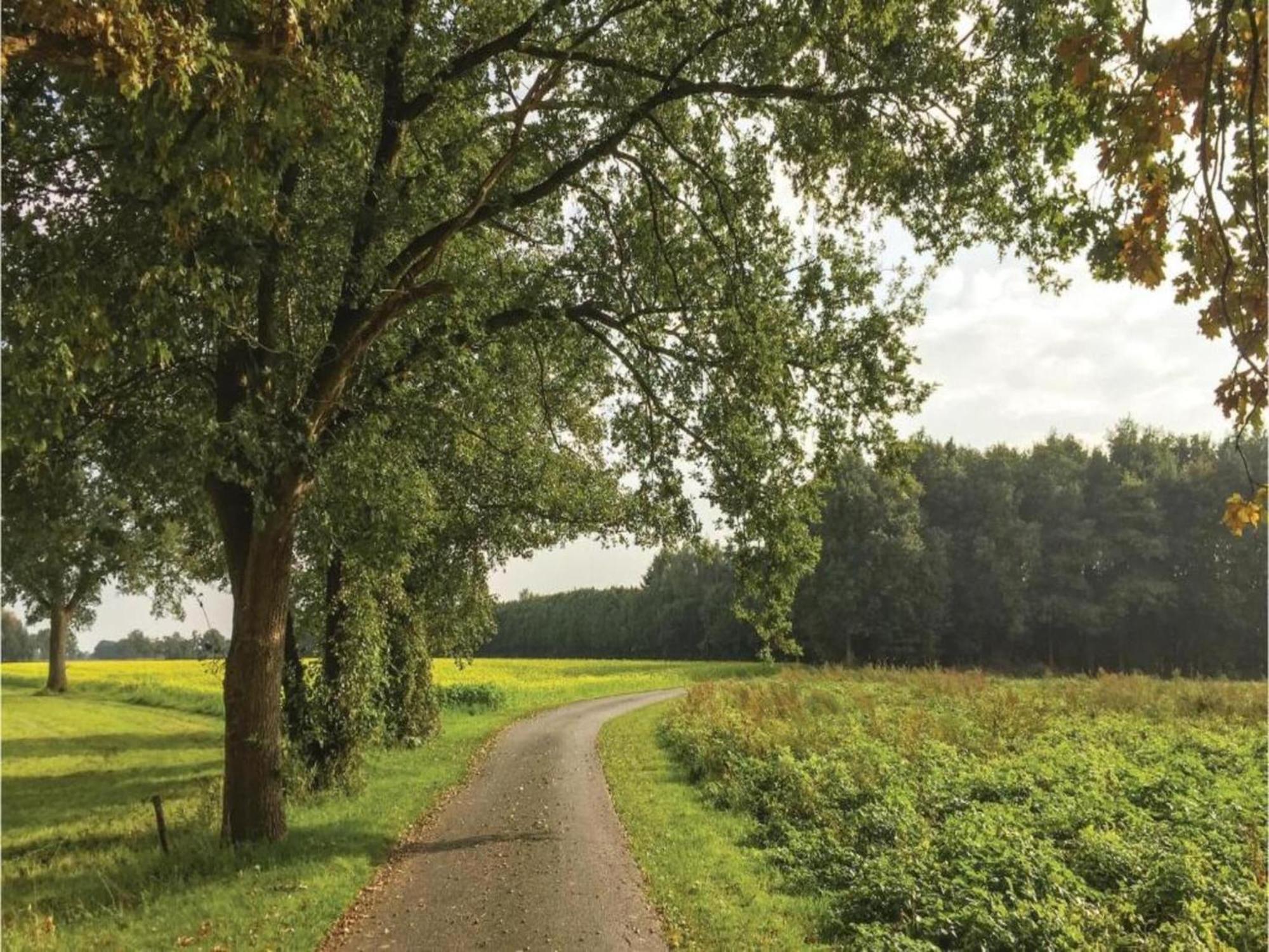 Monumental Farm In The Ash Landscape Villa Geesteren  Buitenkant foto