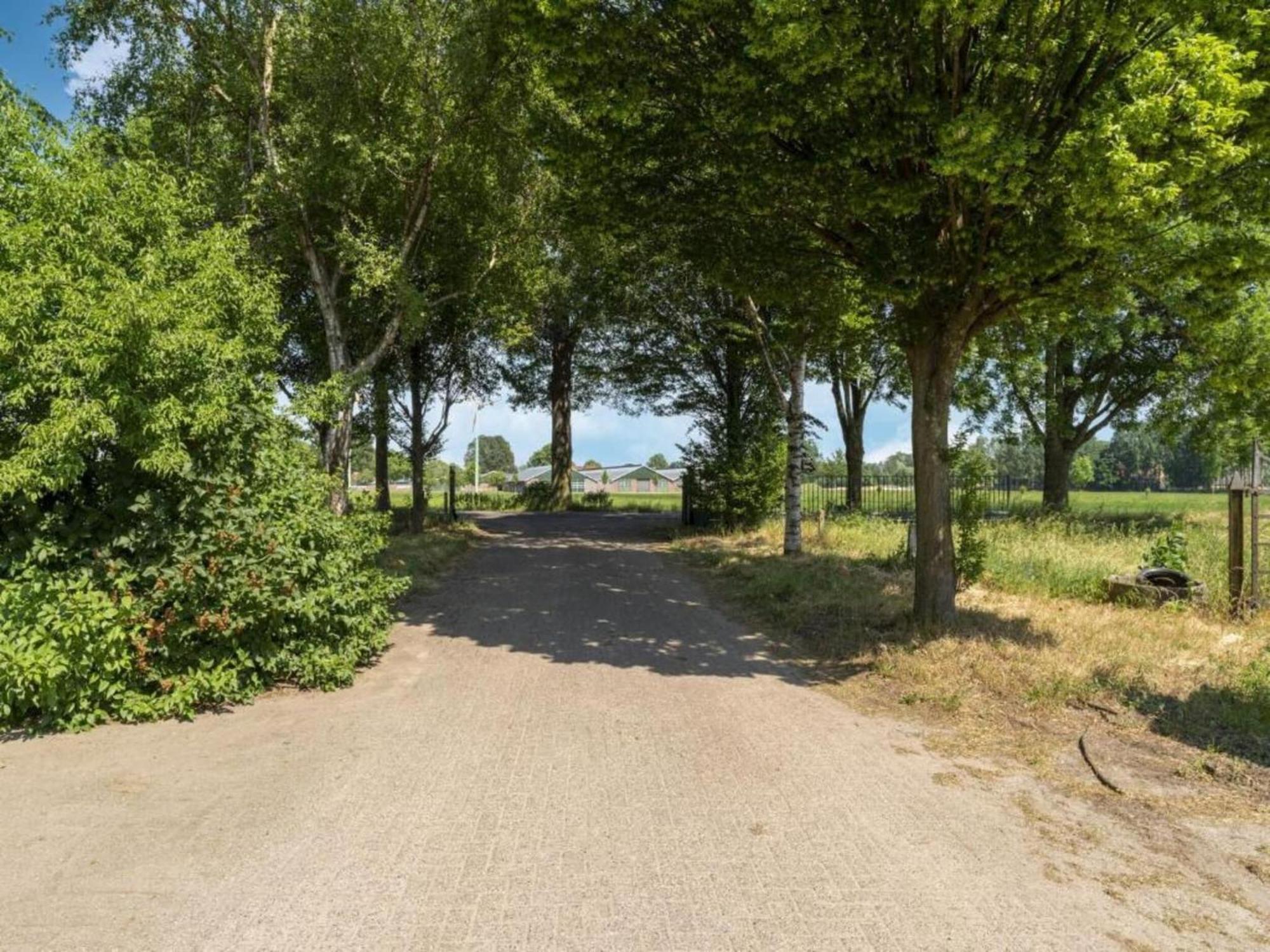 Monumental Farm In The Ash Landscape Villa Geesteren  Buitenkant foto