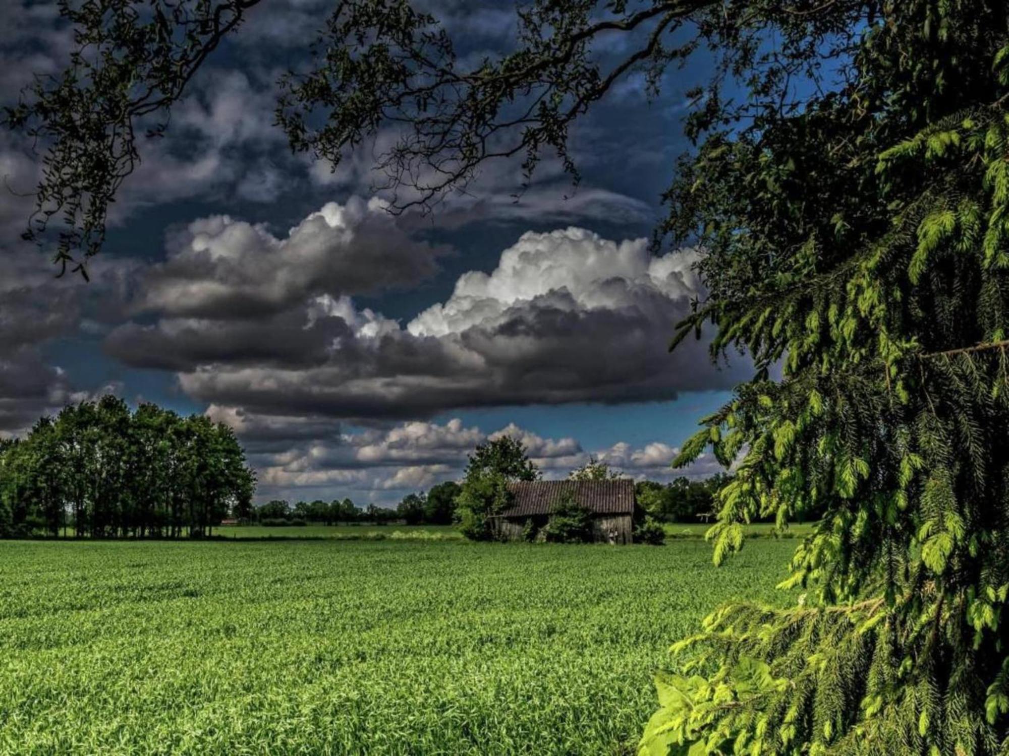 Monumental Farm In The Ash Landscape Villa Geesteren  Buitenkant foto